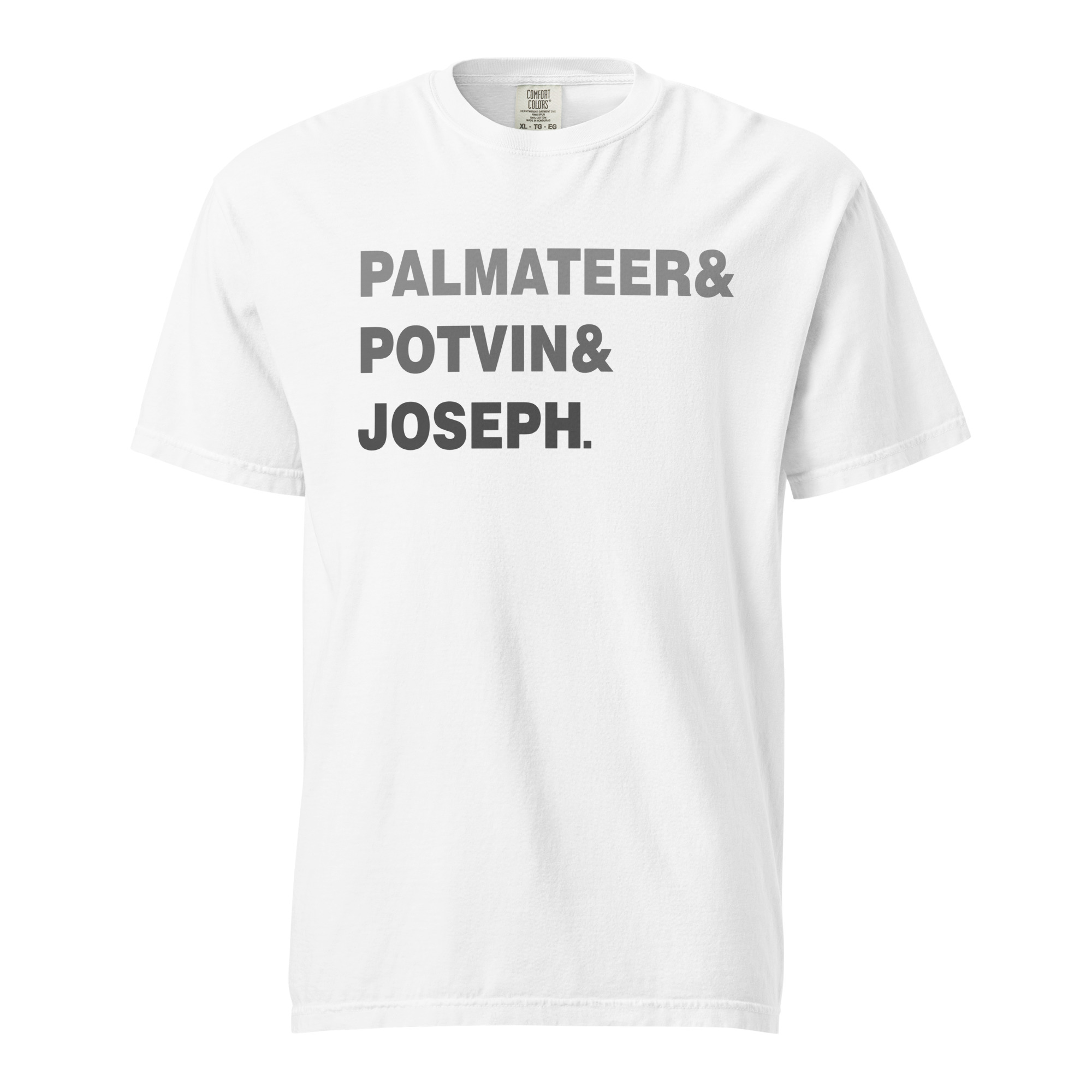 PALMATEER&POTVIN&JOSEPH (Grey Edition) Unisex garment-dyed heavyweight t-shirt - Image 5